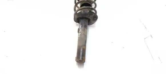Volkswagen Golf V Front shock absorber with coil spring 