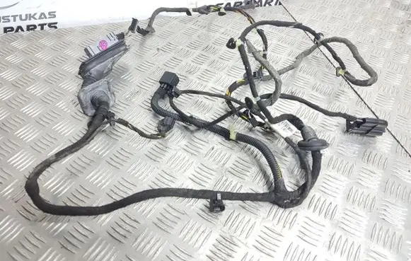 Opel Insignia A Front door wiring loom 22895885 5885U 613556841