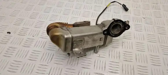 Renault Scenic IV - Grand scenic IV EGR valve cooler 13717C0019 147350678R