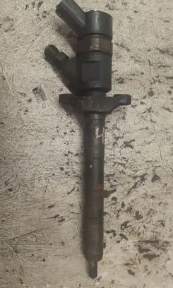 Citroen C4 I Picasso Fuel injector