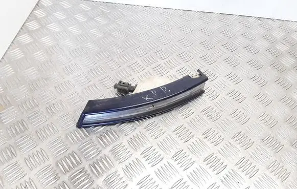 Volkswagen PASSAT B6 Front indicator light 3C0953041L