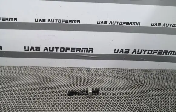 Renault Megane IV Front door check strap stopper
