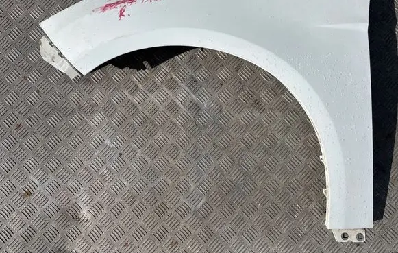 Ford Focus Fender