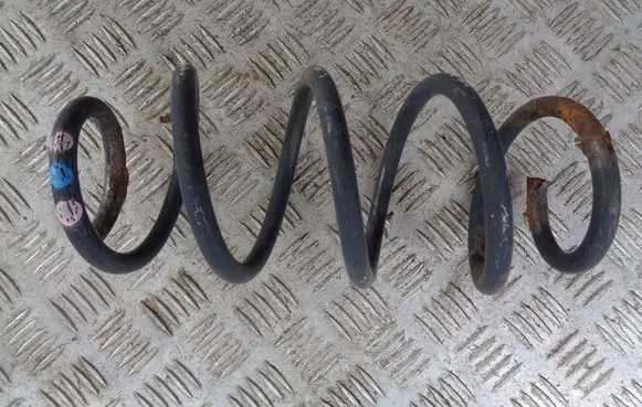Rear coil spring