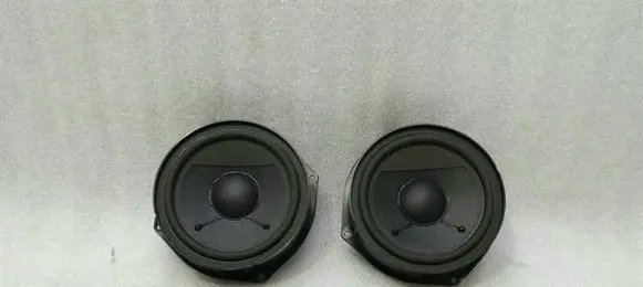 Bentley Flying Spur Front door speaker 3W0035411J