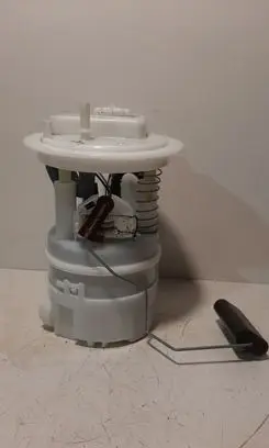Dacia Duster In-tank fuel pump 172026951R