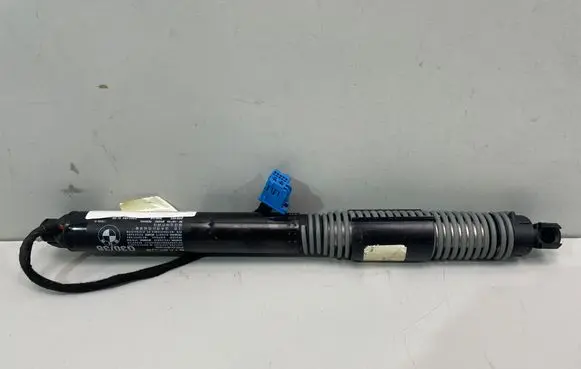 BMW 5 G30 G31 G38 Tailgate strut 7366404