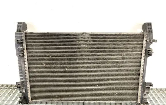 Mercedes-Benz A W169 Coolant radiator A1695001703