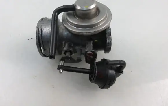 Seat Alhambra (Mk1) EGR valve 038129637L 038131501AA