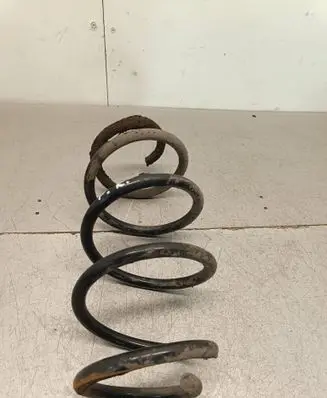 Volkswagen Tiguan Front coil spring 