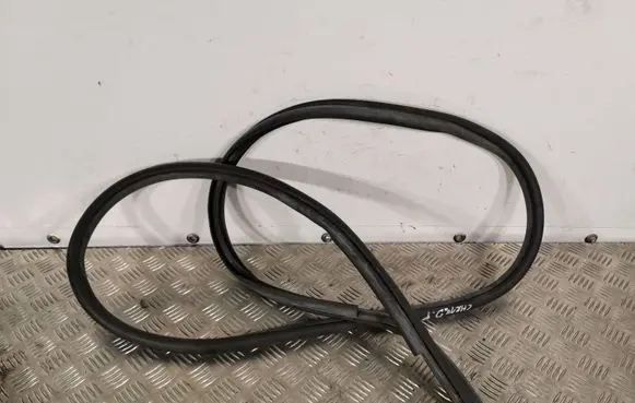 Toyota C-HR I Rear door rubber seal (on body) CHRGUMA