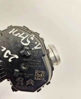 Throttle body valve