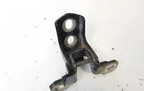Renault Laguna III Rear door lower hinge