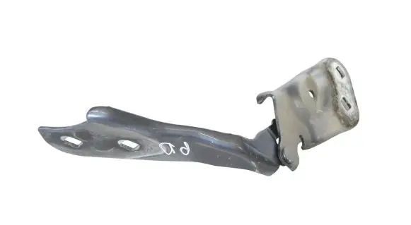 Tesla Model 3 Engine bonnet/hood hinges 109879300