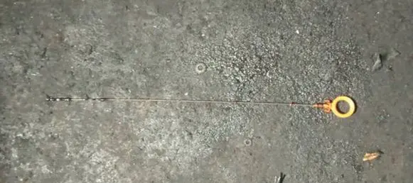 Oil level dip stick