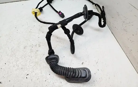 Rear door wiring loom