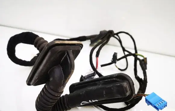Rear door wiring loom