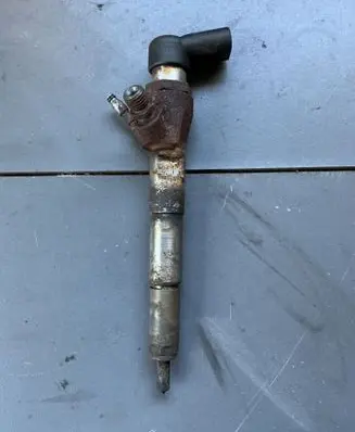Nissan Qashqai Fuel injector H8201100113