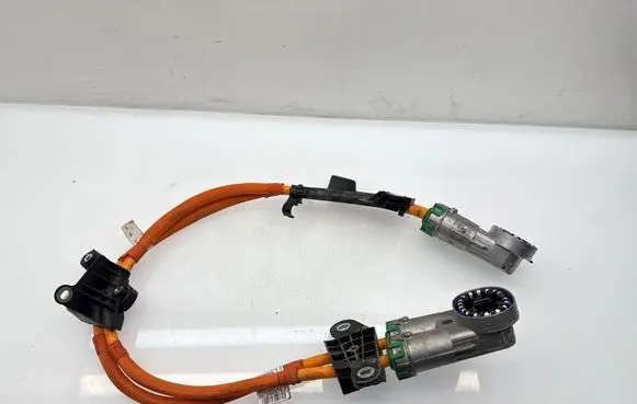 BMW iX Other wiring loom 767000804AA 5A0C132 E0U21BL