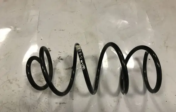 Front coil spring