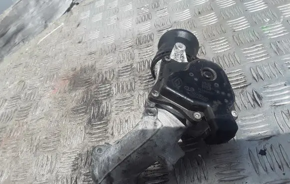 Renault Megane III Throttle valve 8200614985