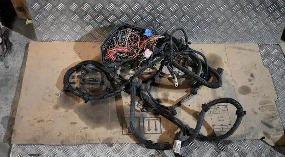 Porsche Cayenne (9Y0 9Y3) Wiring harness 