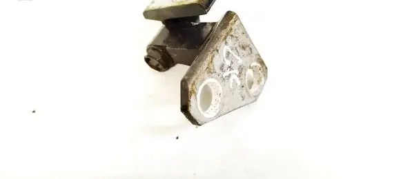 Volkswagen PASSAT B7 Rear door lower hinge