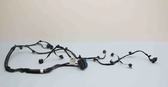 Other wiring loom