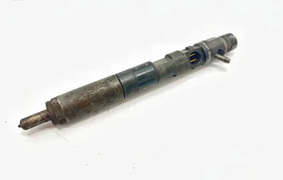 Renault Kangoo II Fuel injector 28237259 2434GF05W03