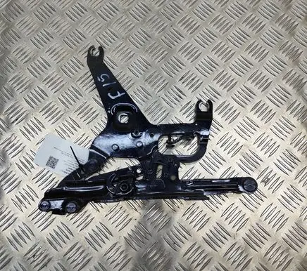 BMW X5 F15 Engine bonnet/hood hinges 7294530