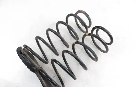 Hyundai i20 (PB PBT) Rear coil spring 