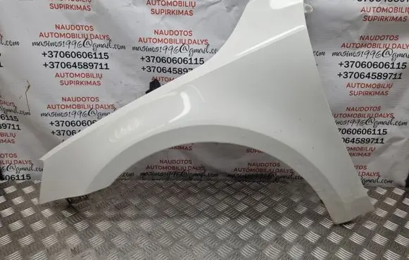 Skoda Octavia Mk3 (5E) Fender