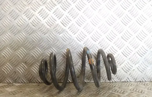 Rear coil spring