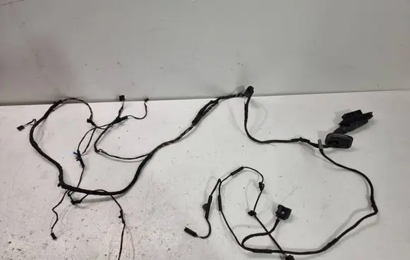 BMW 7 F01 F02 F03 F04 Rear door wiring loom 9197640 26112008 150030944112