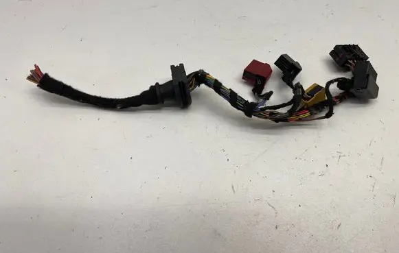 Other wiring loom