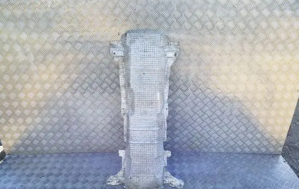 Exhaust heat shield