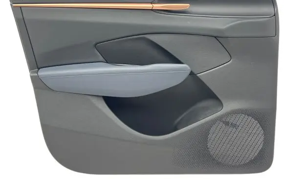 Cupra Terramar Front door card panel trim 578867103