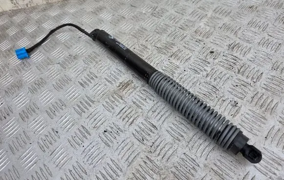 Tailgate/trunk strut/damper