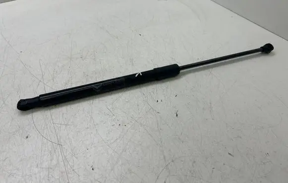 Tailgate/trunk strut/damper