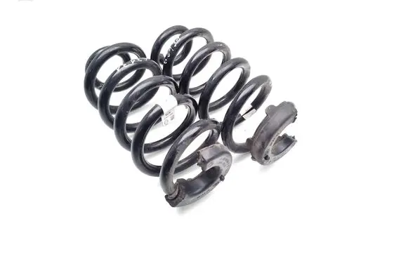 Cupra Born Rear coil spring 1EA511103Q