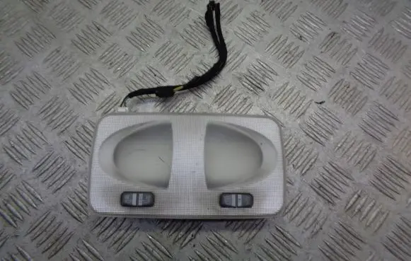 Fiat Doblo Headlining lighting console trim 735244963