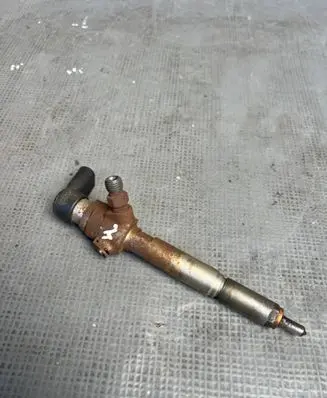 Renault Megane II Fuel injector H8200294788 8200842205