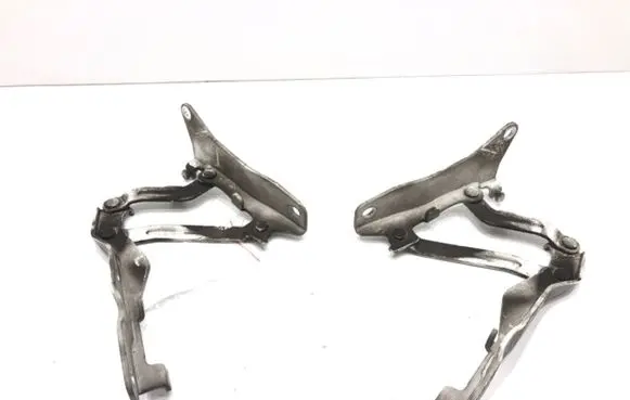 Hyundai Veloster Engine bonnet/hood hinges