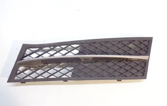 BMW 5 F10 F11 Front bumper lower grill 7200699 7231859