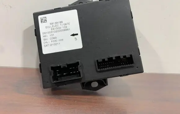 Mitsubishi Outlander IV Other control units/modules 5813A186 E61003102 E6100310200008981