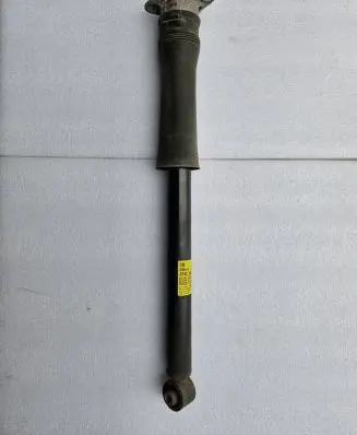 Buick Encore GX I Rear shock absorber/damper 60005110