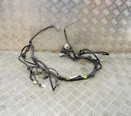 Tesla Model S Other wiring loom 100455701J