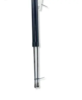 Mercedes-Benz C W203 Tailgate/trunk strut/damper 