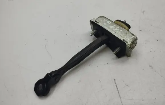 Rear door check strap stopper