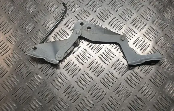 Peugeot iOn Engine bonnet/hood hinges
